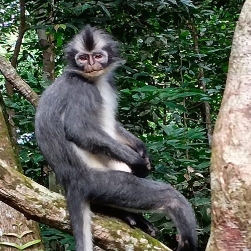 sumatra-reisen-01