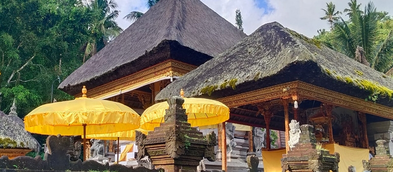 bali-hautnah-erleben