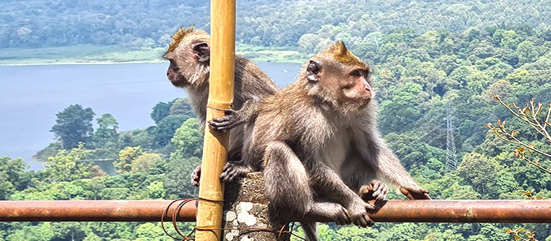 bali-tagestouren-01
