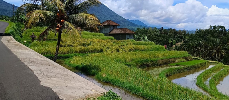 bali-versteckte-pfade-entdecken